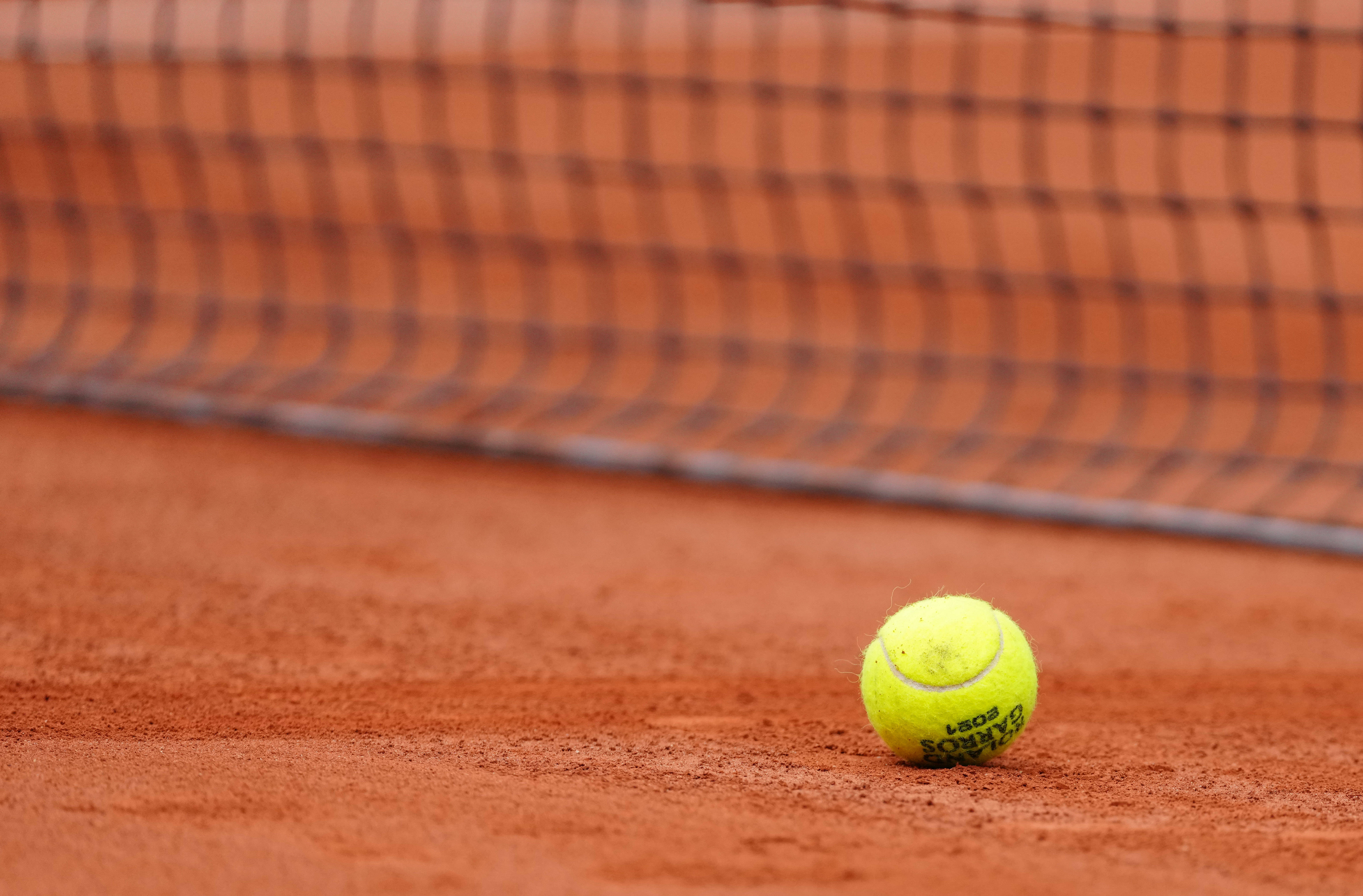 它们出现在 它们出现在