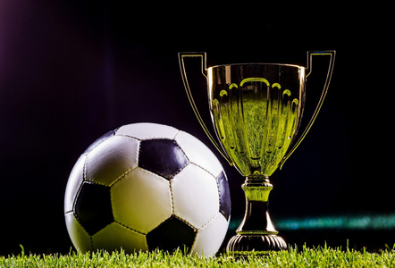 的增多不仅 的增多不仅